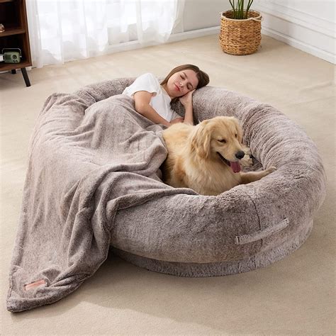 giant dog beds for humans.